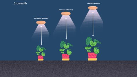 Grow Light Distance Chart Guide | Growealth Cute Grow Light Setup, Plant Lights Indoor Setup, Indoor Grow, Growing Bulbs, Grow Lamps, Grow Lights For Plants, Plant Life Cycle, Growing Plants Indoors, Light Emitting Diode