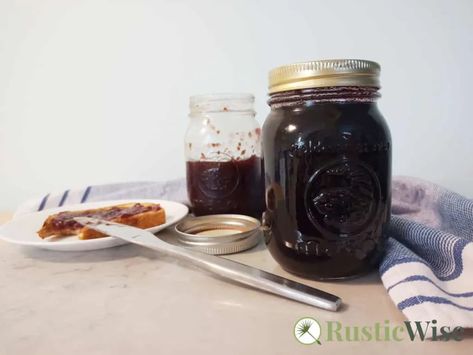 Canning Frozen Blueberries, Canning Blueberry Pie Filling, Wild Plum Jelly Recipe, Foodsaver Ideas, Frozen Blueberry Pie, Blueberry Jelly, Blueberry Jam Recipe, Pressure Canning Recipes, Wild Plum