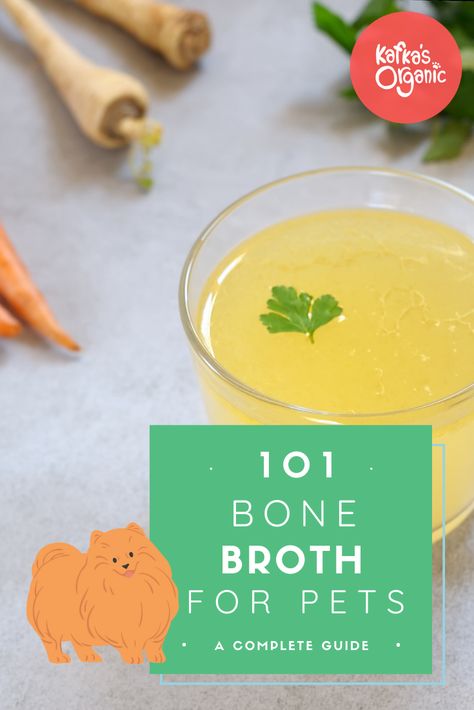 The only guide you'll need when learning all about bone broth for your dog and/or cat! Bone Broth For Cats, Dog Bone Broth Recipe, Dog Bone Broth, What Is Bone Broth, Bone Broth For Dogs, Broth For Dogs, Liquid Meals, Making Bone Broth, Homemade Bone Broth