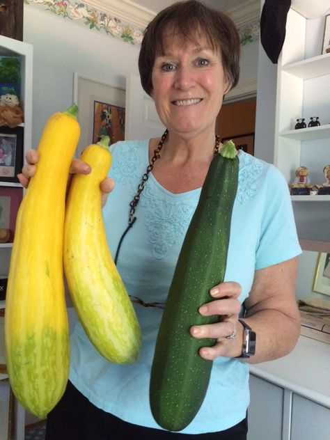 What To Do With Really Big Zucchini, What To Do With Big Zucchini, Big Zucchini Recipes, Giant Zucchini Recipes, Yellow Zucchini Recipes, Big Zucchini, Giant Leaves, Yellow Zucchini, Squash Plant