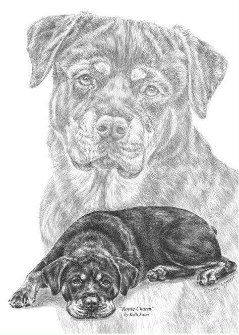 Rottweiler Tattoo, Pet Artist, Muster Tattoos, Cut Animals, Animal Portraits Art, Rottweiler Puppies, Rottweiler Dog, Animal Sketches, Dog Drawing