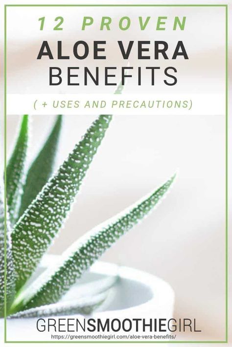 Aloe Benefits, Aloe Vera Juice Benefits, Aloe Vera Gel Benefits, Aloe Vera Health Benefits, Aloe Vera For Sunburn, Aloe Vera Uses, Green Smoothie Girl, Smoothie Benefits, Aloe Vera Benefits