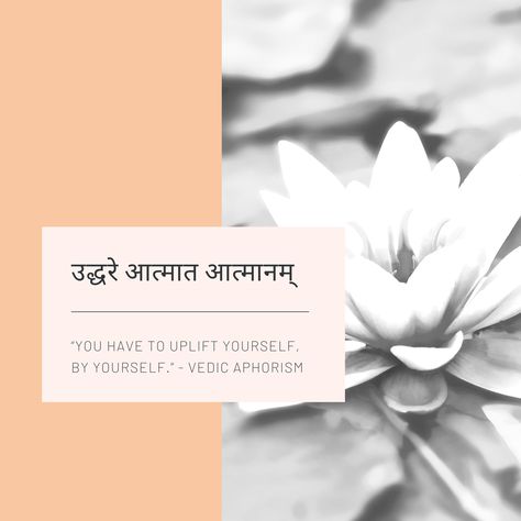 Sanskrit One Liners, Kaizen Quotes, Rakhi Quotes, Hinduism Quotes, Me Time Quotes, Bhagwat Geeta, Wisdom Thoughts, Geeta Quotes, One Liner Quotes