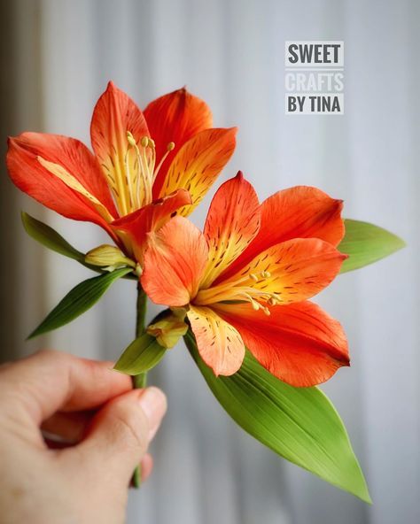 Tina Chen on Instagram: “Alstroemeria made by flower paste. I really like the orange color I have chosen today.  #floralcrafts #edible flowers…” Alstroemeria Flower, Wafer Paper Flowers, Cold Porcelain Flowers, Gum Paste Flowers, Sugar Craft, Sugar Art, Sugar Flowers, Edible Flowers, Cold Porcelain