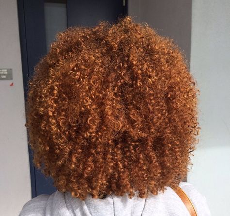 Ginger 4b Hair, Ginger Hair Black Women Curly Hair, Ginger Afro Black Women, Ginger Hair Black Women Natural 4c, Ginger Natural Hair Black Women, Ginger 4c Hair, Ginger Afro, Hair Black Women, Dyed Curly Hair