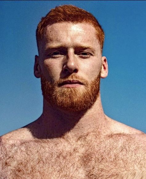 Red Bearded Men, Ginger Haired Men, Ginger Men With Beards, Handsome Ginger Men, Handsome Redhead Men, Men Face Reference, Red Haired Men, Red Hair Man, Red Head Men