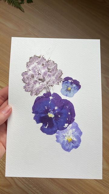 HammerFlower on Instagram: "My favourite purples 💜 #hammerflower #hammeredflowers #purpleflowers #botanicalart #botanicalprint #naturalprint #ecoart #nowaterpollution #ecofriendlyart #naturalpigments #biodegradable #flowerart #botanicalartist" Hammered Flowers, Eco Friendly Art, Tea Party Garden, Eco Printing, Nature Prints, Real Flowers, Botanical Art, Botanical Prints, Purple Flowers