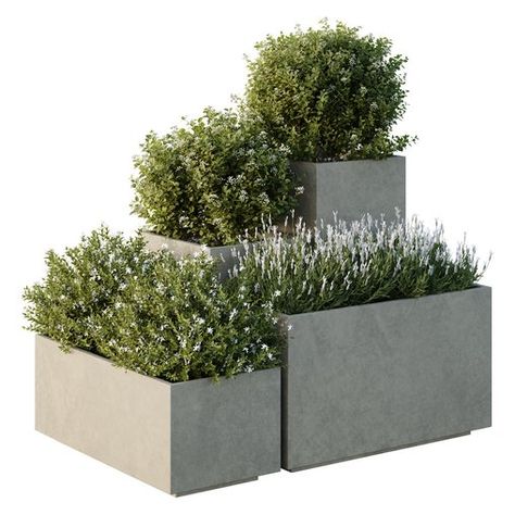 HQ Tree and bush garden box outdoor VOL 51 Egg Collective, Bush Garden, Florence Art, Stone Fountains, Material Library, Garden Boxes, Garden Landscaping, Planter Pots, Plants