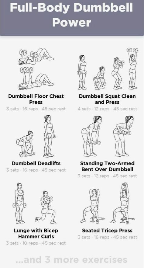 Dumbbell Fat Burning Workout, Full Body Pump Workout, Full Body Workout Weights Women, Home Workout With Weights For Women, Easy Gym Routine For Women, Barbell And Dumbbell Workout, Women Dumbbell Workout, Dum Bell Workout For Women, Basic Weight Training For Women