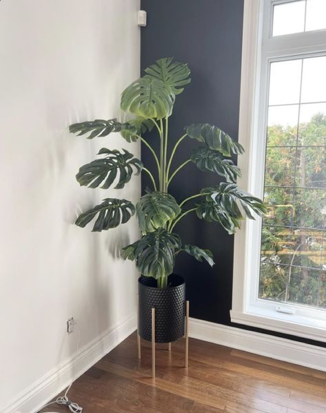 plant decor idea| clean plant| clean look| Plant Decor Living Room, Indoor Plants Bedroom, Green Baby Room, Fake Plants Decor, Indoor Trees, Clean Look, Bedroom Plants, Houseplants Indoor, Office Plants