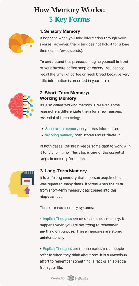 Memory Psychology, Improve Memory Brain, Brain Hacks, Psychology A Level, Improving Memory, Memory Exercises, Psychology Notes, Memory Words, Human Memory