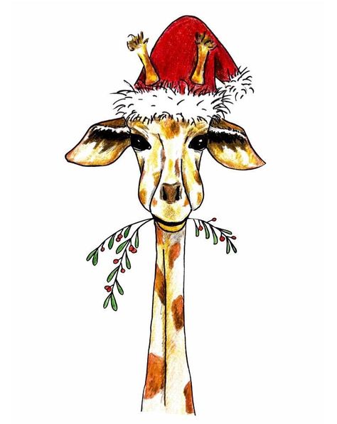 African Christmas Cards, Cute Xmas Drawings, Christmas Animals Illustration, Christmas In Africa, Christmas Safari, Sublimation Pictures, Types Of Personalities, South African Animals, Xmas Animals