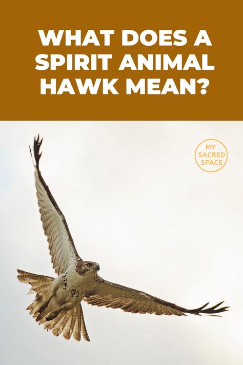 Hawk Meaning, Hawk Spirit Animal, Hawk Spirit, Animal Traits, Spirit Animal Meaning, Totem Animals, Animal Meanings, Spiritual Animal, Animal Spirit Guides