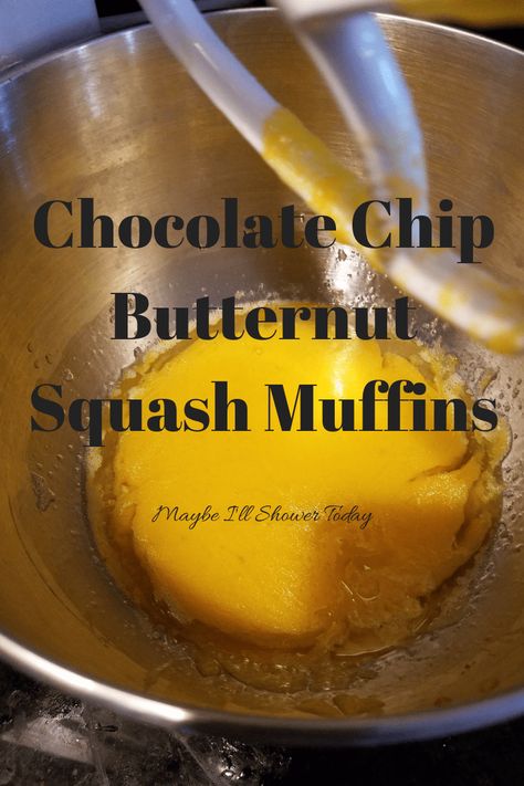 Fall for these chocolate chip, butternut squash muffins | Maybe I'll Shower Today Yellow Squash Muffins, Muffins Chocolate Chip, Butternut Squash Muffins, Squash Muffins, Seasonal Produce, Cooking Chocolate, Yellow Squash, Chocolate Muffins, In Season Produce