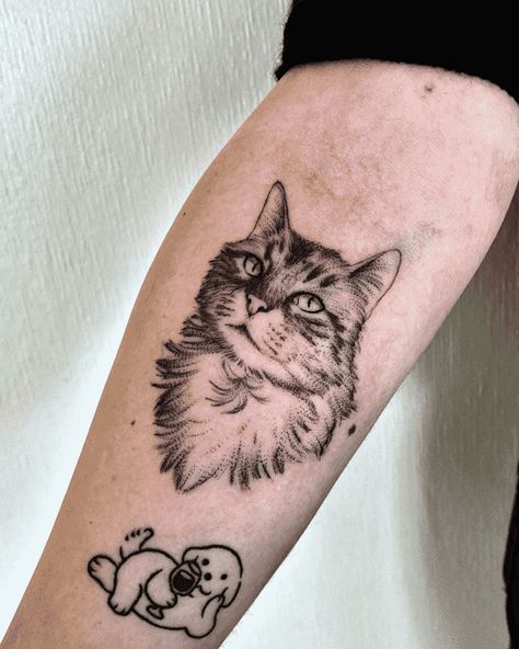 Meowdy Cat Tattoo, Cat Tattoo Realistic, Realism Cat Tattoo, Cat Tattoo Patchwork, Cat Tattoo Portrait, Animal Portrait Tattoos, Cat Head Tattoo, Cat Portrait Tattoo, Cat Face Tattoo