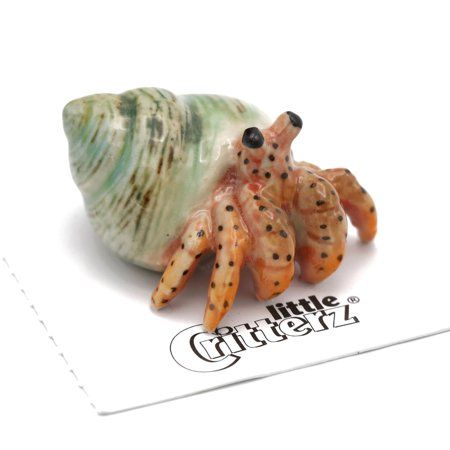 Little Critterz  are adorable, collectible carded miniature porcelain figurines, about 1.75 " high or long depending on the shape of each animal. Each is hand crafted and hand painted by skilled artisans to represent the unique color and detail of each animal. A perfect gift for your friends, family or yourself and a delightful addition to any collection. Packaged in a clear 2" x 2" recyclable plastic collector box. Critter Tailz Fun Fact: "Hermit" Crabs live alone in abandoned sea snail shells Black Tip Shark, Galapagos Tortoise, Butterfly Fish, Live Alone, Hermit Crabs, Sea Snail, Snail Shell, Hermit Crab, Clay Animals