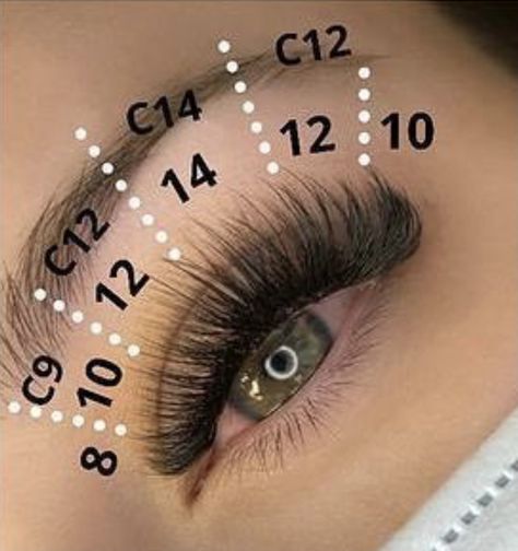 Aura Practice, Eyelash Extension Mapping, Lash Practice, Types Of Eyelash Extensions, Lash Mapping, Lashes Tutorial, Russian Volume Lashes, Wispy Eyelashes, Eyelashes Extensions