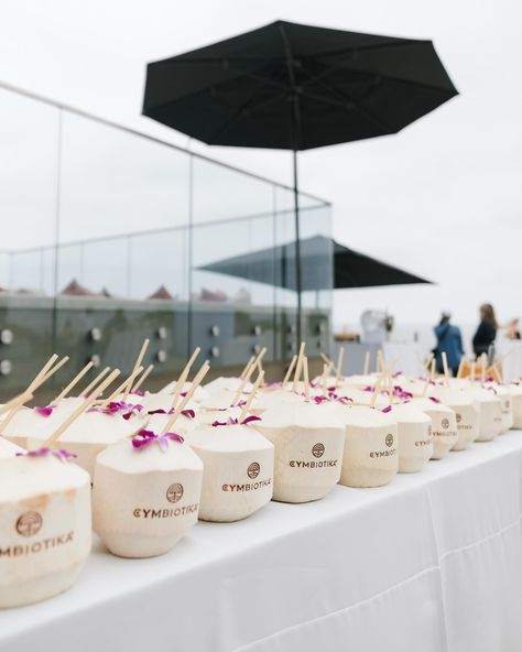 Nourish your body, mind, and soul with a Windansea Coconut and @cymbiotika In-Person Activations: Workout: @pvolve & @pvolvesandiego Cold Plunge: @soulplunge Lymphatic Massage: @misslymph Skincare: @clearsteamskincare Venue, Drinks, & Decor: Venue: @alilamareabeachresort Branded Coconuts: @windansea.coconuts Mocktails: @cymbiotika Florals: @dreamland.events Apparel: Workout Sets: @csb Bikinis: @siennaswim Socks: @theaugustnoa #LiveYourParadise #Cymbiotika #Wellness #Fitness #... Wellness Event Ideas, Branded Coconut, Chill Space, Wellness Event, Cold Plunge, Wellness Club, Nourish Your Body, Mind And Soul, Health Club