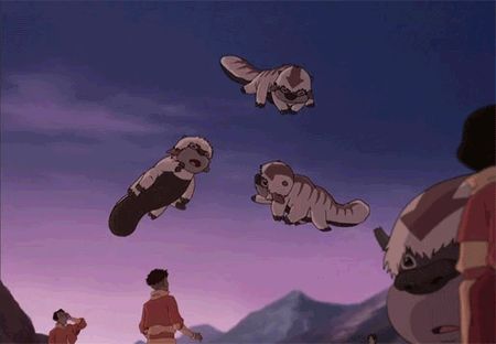 THE WIGGLIEST FEET!! Baby Sky Bison, Air Bison, Fly Gif, Flying Bison, Sky Bison, Avatar The Legend Of Korra, Yip Yip, The Last Avatar, Team Avatar