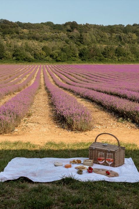 Dream Life Aesthetic Travel, Girls Summer Aesthetic, Picnic Aesthetic Ideas, Ideas For A Photoshoot, Field Picnic, Aesthetic Countryside, Aesthetic Sunset Pictures, Pretty Blanket, Countryside Outfit