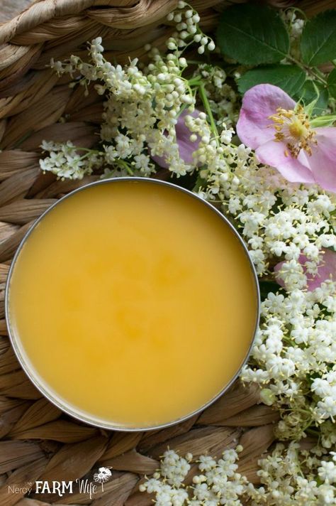 Elderflower & Rosehip Salve | The Nerdy Farm Wife | Bloglovin’ Healing Balm Recipe, Dandelion Salve, Balm Recipe, Salve Recipes, Herbal Salves, Healing Salves, Healing Balm, Herbal Recipes, Natural Healing Remedies