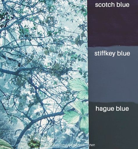 Farrow & Ball: scotch blue vs stiffkey blue vs hague blue Farrow Ball Hague Blue, Farrow And Ball Bedroom, Farrow And Ball Living Room, Blue Home Offices, Office Paint Colors, Complimentary Colours, Stiffkey Blue, Hague Blue, Sewing Room Storage