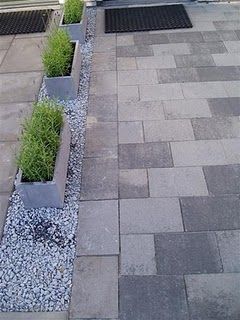 Driveway Divider, Driveway Planters, Shared Driveway, Driveway Ideas, Bin Storage, Circular Driveway, Garage Ideas, Planter Box, Modern Landscaping