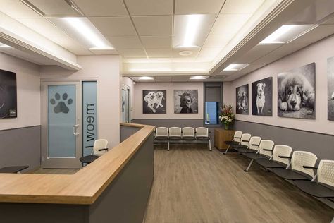 Blum Animal Hospital | Veterinary Hospital Architecture | Apex Design Build Veterinary Hospital Design, Vet Office Decor, Animal Shelter Design, Apex Design, Vet Hospital, Vet Office, Clinic Interior, Hospital Architecture, Shelter Design