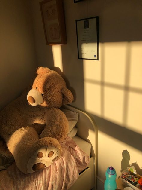 teddy bear on bed with window shadows and golden light Teddy Bedroom Aesthetic, Teddy Bear Room, Teddy Girl, Makeover Bedroom, Teddy Bear Girl, Room Prints, Soft Teddy, Homemade Beauty, Room Makeover Bedroom