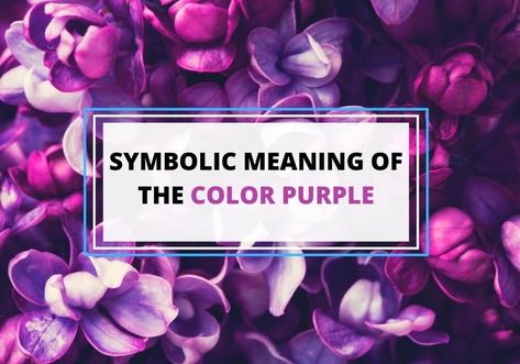 Purple Symbolism, Purple Color Meaning, Purple Colour Flowers, Color Symbolism, The Color Purple, Desolation Of Smaug, Colors And Emotions, Night At The Museum, Color Meanings