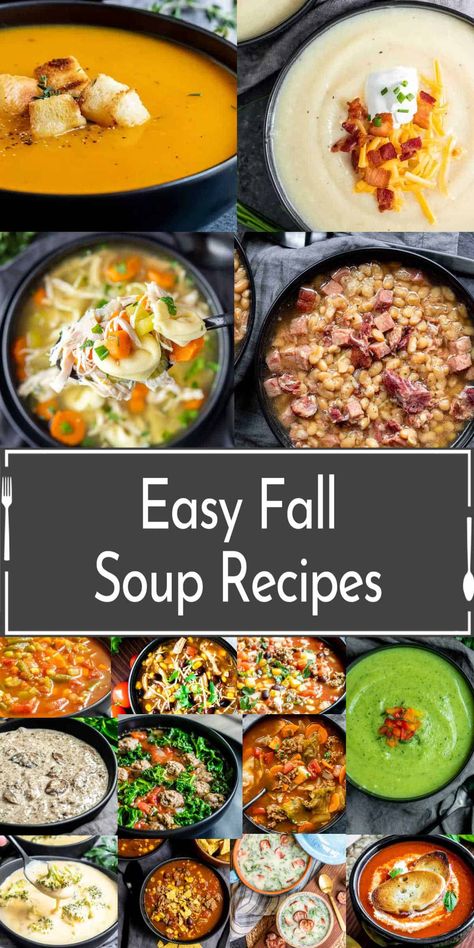 Warm up your autumn with these cozy Fall Soup Recipes! From simple chicken soup to hearty butternut squash, these comforting bowls are perfect for chilly nights. Discover delicious, easy-to-make soups featuring seasonal ingredients like sweet potatoes, carrots, and beans. Perfect for family dinners or meal prep this fall! Hearty Fall Soups, Carrot Sweet Potato Soup, Best Fall Soup Recipes, Easy Fall Soup Recipes, Pumpkin Bisque, Creamy Tomato Basil Soup, Seasonal Veggies, Pea And Ham Soup, Fall Dinners