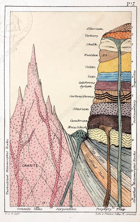 1838 Mantell's Geological Strata Section. - Stock Image - C011/0937 - Science Photo Library Geology Art, Scientific Poster, Section Drawing, Geology Rocks, Science Photos, Mountain Paintings, Retro Art, Science And Nature, Rocks And Minerals