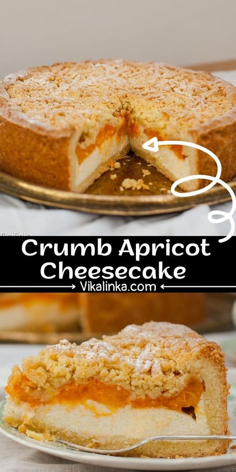 You will fall in love with this crumb apricot cheesecake. Creamy cheesecake, topped with fresh apricot halves and encased in buttery crust. It tastes of summer! Apricot Cheesecake, Apricot Dessert, Delicious Cheesecake Recipes, Almond Desserts, Apricot Recipes, Yummy Cheesecake, Chilled Desserts, Best Sweets, Creamy Cheesecake