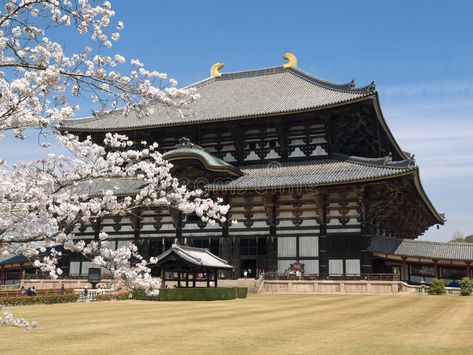 Kyoto Day Trip, Kasuga Shrine, Japan Honeymoon, Temple Poster, Kyoto Travel Guide, Houses In Japan, Nara Japan, Japanese Castle, Kyoto Travel