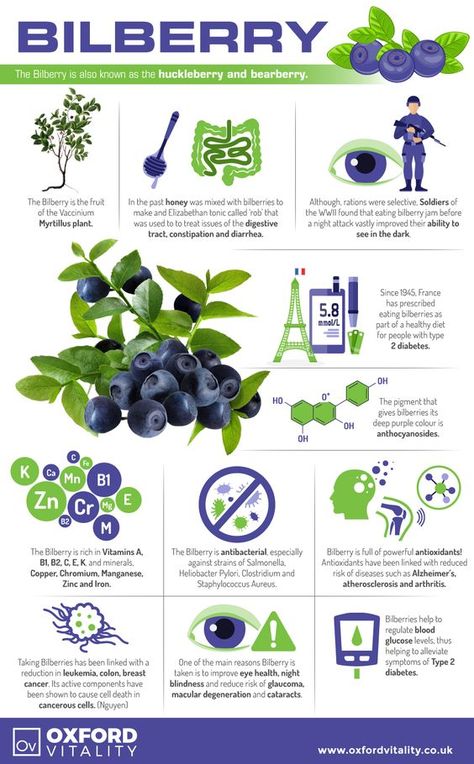 Learn about the bilberry and its amazing health benefits! Food Health Benefits, Healing Food, Natural Health Remedies, Healing Herbs, Vision Care, Health Info, Medicinal Plants, Natural Medicine, Nutrition Tips