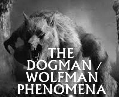 Phantoms and Monsters: Pulse of the Paranormal Cryptid Sightings, Werewolf Lore, Dogman Encounters, Paranormal Creatures, Bigfoot Sightings, The Paranormal, Paranormal Investigation, Weird Stories, Supernatural