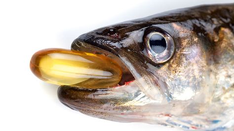 #DidYouKnow Oily fish, vitamin A and vitamin C all help to preserve good eyesight #OptometryFacts Fish Supper, Fish Oil Capsules, Anti Oxidant Foods, Omega 3 Fish Oil, 3 Fish, Atrial Fibrillation, Anti Aging Food, Fish Oil, Health Articles