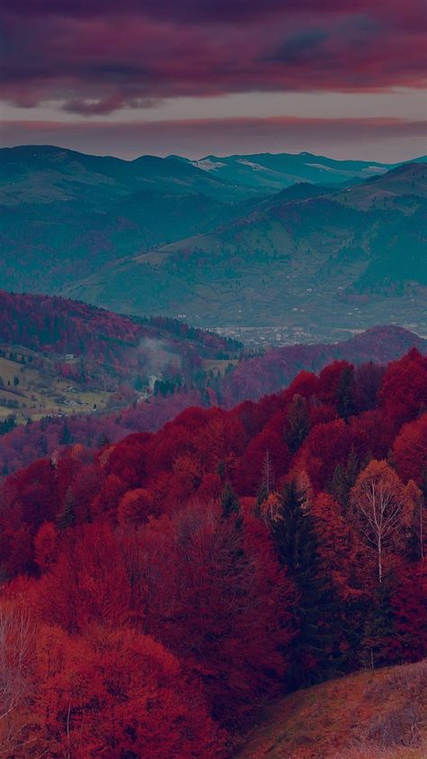 Fall Mountain Fun Red Tree Nature Dark Beautiful iPhone 8 wallpaper Iphone 8 Wallpaper, Galaxy S8 Wallpaper, Calming Backgrounds, S8 Wallpaper, Wallpapers Beautiful, November Wallpaper, Iphone 5s Wallpaper, Wallpaper Fall, Dark Fall