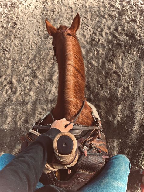 #cowgirl #cowgirlstyle #cowgirlfashion #horse #country #countrygirl #rodeo #punchy #horseriding #cowboy #western Cowgirl Riding Horse, Western Horse Riding Aesthetic, Western Horse Riding, Cowgirl Photography, Horse Riding Aesthetic, Horse Barn Ideas Stables, Western Life, Western Riding, Cowgirl Aesthetic