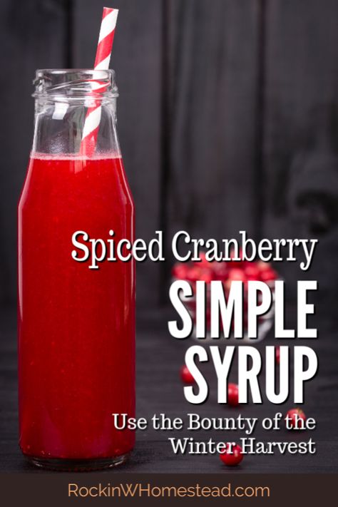 Spiced Cranberry Simple Syrup, Cranberry Syrup Recipe, Cranberry Simple Syrup, Simple Syrup Recipe, Coffee Syrups, Cranberry Drinks, Homestead Blog, Dessert From Scratch, Bar Cocktails