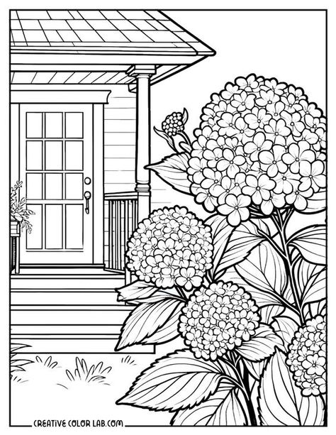 Coloring Pages for Adults Hydrangea Coloring Pages, Magical Coloring Pages, Flower Coloring Pages For Kids, Garden Front Porch, Flower Coloring Sheets, Sunflower Coloring Pages, Printable Flower Coloring Pages, Garden Coloring Pages, Hydrangea Colors