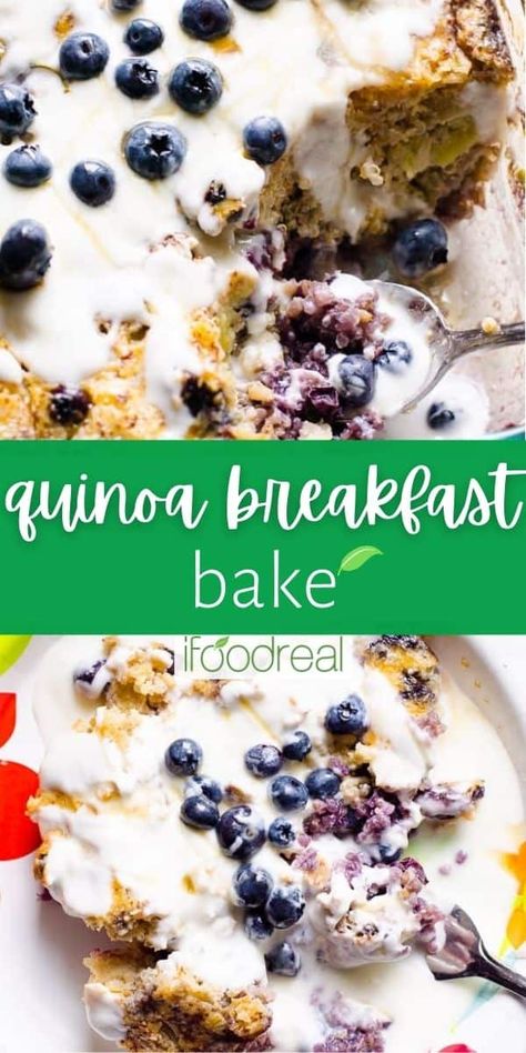 Make this Quinoa Breakfast Bake Recipe with berries for a week of healthy and easy breakfasts. Serve warm with creamy yogurt and come back to thank me after. Healthy Trifle, Quinoa Breakfast Bake, Breakfast Quinoa, Easy Breakfasts, Baked Breakfast Recipes, Creamy Yogurt, Sweet Breakfast Treats, Quinoa Breakfast, Baked Oatmeal Recipes