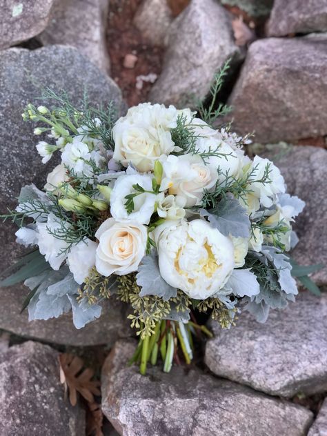 Softly rounded gathering of white peonies, lisianthus, stock, vendela roses, freesia, escimo roses, dusty miller and blue cedar tips Dusty Miller Plant, Vendela Roses, Winter Bridal Bouquets, Dusty Miller, White Florals, White Peonies, All White, Wedding Designs, Bridal Bouquet