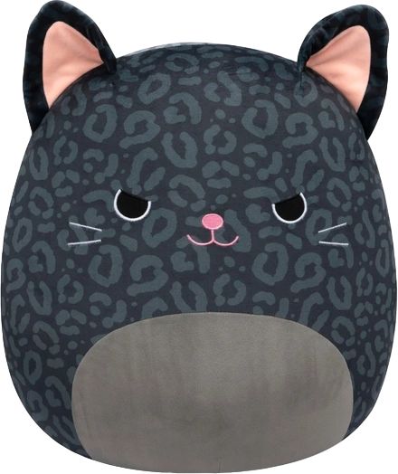 Xiomara the Panther Squishmallows | SquadApp Squishmallows Collection, The Black Panther, Unique Name, Chemistry Teacher, Black Panthers, Unique Names, Black Panther, Soft Toy, Slime