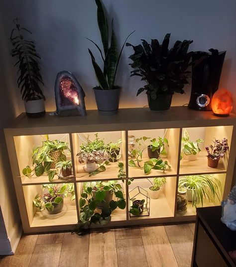 Plant Shelf With Lights, Cube Plant Shelf, Shelf With Grow Lights, Diy Plant Shelves With Grow Lights, Plant Shelf Led, Plant Shelf Grow Light, Garden Cupboard, Ikea Cubes, Cube Decor