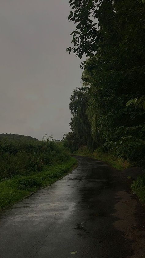 Storm Day Aesthetic, Stormy Field Aesthetic, Cloudy Forest Aesthetic, Cloudy Day Wallpaper, Delilah Core, Creepy Background, Rainy Sky, Creepy Backgrounds, Dark Forest Aesthetic