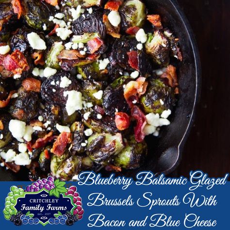 Balsamic Glazed Brussel Sprouts, Balsamic Glaze Brussel Sprouts, Glazed Brussel Sprouts, Glazed Brussels Sprouts, Blueberry Balsamic, Blueberry Wine, Balsamic Brussel Sprouts, Balsamic Vinegar Recipes, Crispy Brussel Sprouts