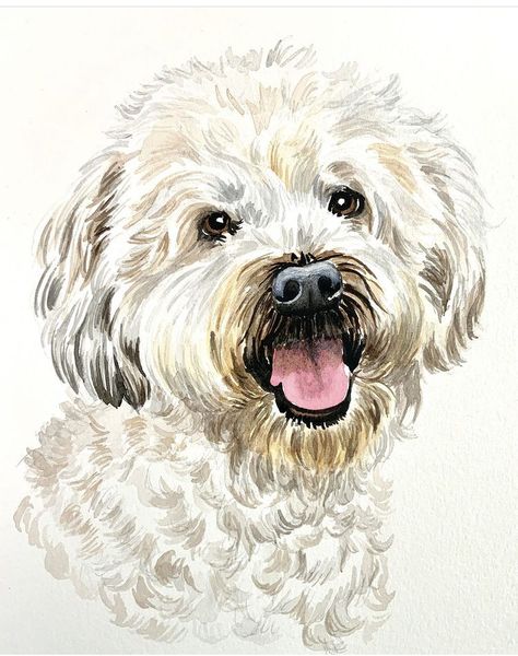 Doggie Drawings, Poodle Watercolor, Watercolour Dogs, Bichon Frise Art, Poddle, Dog Clip Art, 강아지 그림, Dog Clip, Watercolor Dog