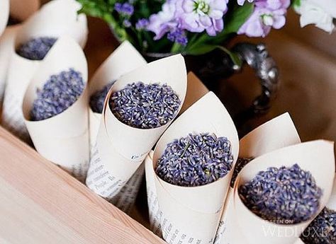 We get intimate with lavender and show you ways to use lavender for your wedding! Dress up a wedding reception, decor, and attire using lavender. Dried Lavender Wedding, Dreamy Wedding Decor, Book Favors, Wedding Toss, Kirkenes, Rustic Wedding Decorations, Flower Confetti, Dried Lavender Flowers, Wedding Exits