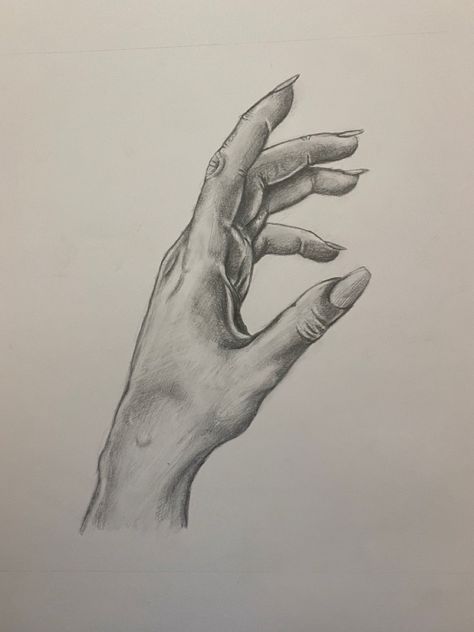 Woman Hand Sketch, Feminine Hand Drawing, Hand Holding Ball Drawing, Women Hand Drawing, Womans Hand Drawing, Hand On Face Drawing, Woman Hands Drawing, Drawings Of Hands Sketches, Female Hands Drawing